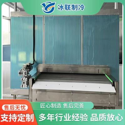 八爪鱼速冻机 墨鱼仔 鱿鱼须单冻机 全自动海产品挂冰流水线