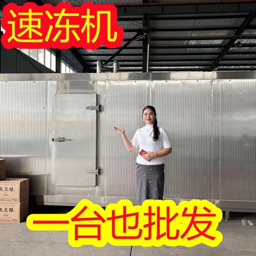 大型鸡翅单冻机 全自动果蔬流态化速冻机 厂家 平板速冻机
